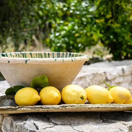 Lammia Nova Ostuni